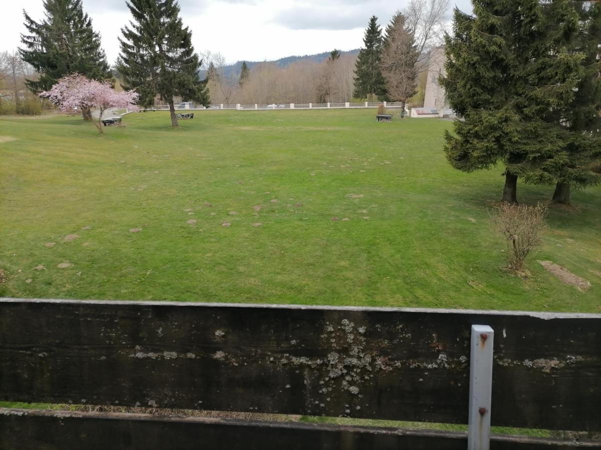 2-Raum Appartement Saxo Sankt Englmar Exteriör bild